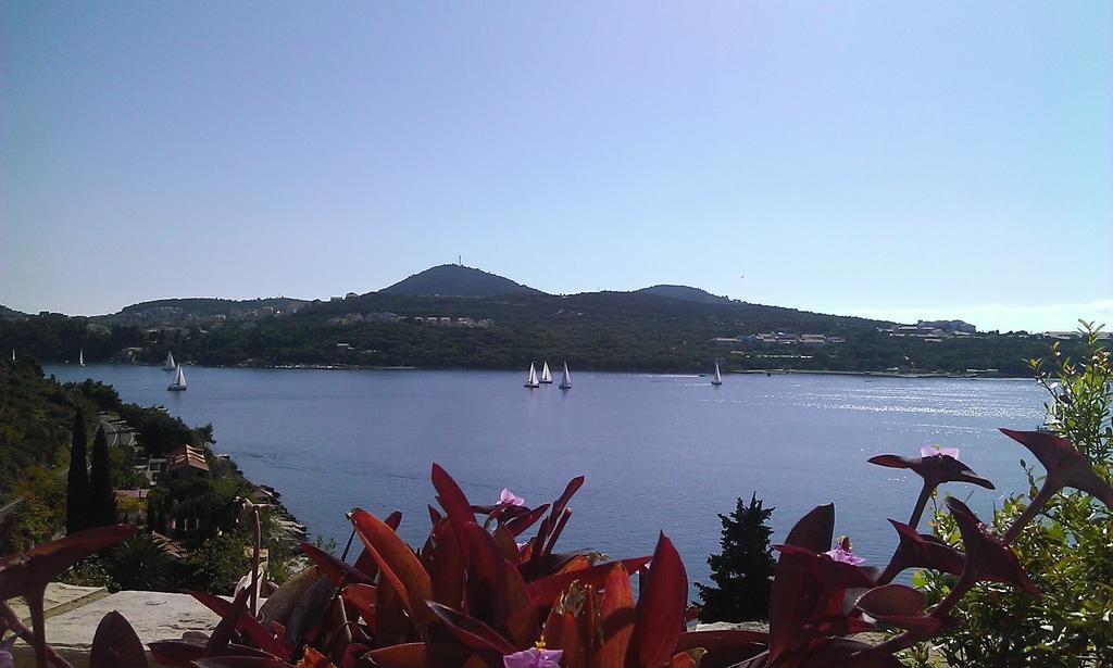 Apartments Anamaria Dubrovnik Zimmer foto